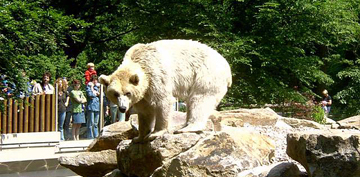 Зоопарк